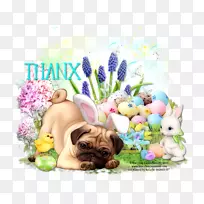 小狗喜欢狗鼻子-小狗-空若网 小狗喜欢狗鼻子-小狗-空若网