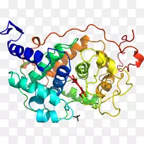 ֱ�ߵ����������-ֱ���˲��-������