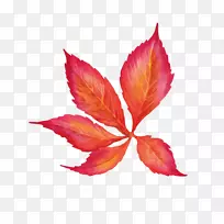 Ë®²Ê»-Ò¶-¿ÕÈôÍø Ë®²Ê»-Ò¶-¿ÕÈôÍø