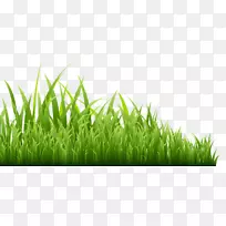 �̲�-������