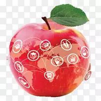 2018��ȫ��ʳƷ��ȫ���ȫ��ʳƷ��ȫ����0-ʳƷ��ȫ����-������