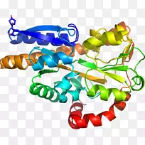 人体首饰有机体线剪贴画线-空若网 人体首饰有机体线剪贴画线-空若网