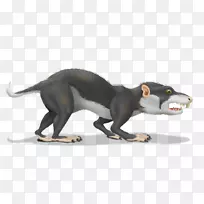 陆生动物鼻子食肉-动物-空若网 陆生动物鼻子食肉-动物-空若网