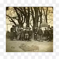 ��Ӱ������-��-������