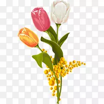 水彩画郁金香-郁金香水彩4-空若网 水彩画郁金香-郁金香水彩4-空若网