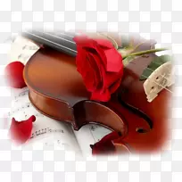 ������֮��-YouTube-������