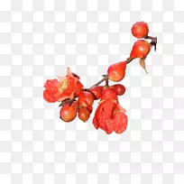 ʯ������-��ɫʯ��-������