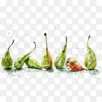 水彩画.水彩梨图案背景-空若网 水彩画.水彩梨图案背景-空若网