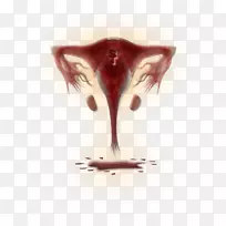 静物摄影桌面壁纸设计-空若网 静物摄影桌面壁纸设计-空若网