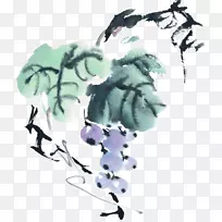 水墨画葡萄水彩画写意葡萄-空若网 水墨画葡萄水彩画写意葡萄-空若网