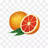 橙色图标-葡萄柚-空若网 橙色图标-葡萄柚-空若网