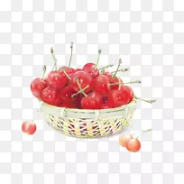 樱桃画彩色铅笔奥格利斯插图-樱桃-空若网 樱桃画彩色铅笔奥格利斯插图-樱桃-空若网