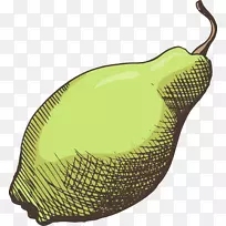 ���ʳƷ.�ֻ��ɫ��-������