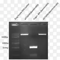 角白色品牌字体角-空若网 角白色品牌字体角-空若网