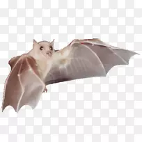 �������-�¶�����������-������