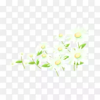 黄花图案-菊花-空若网 黄花图案-菊花-空若网