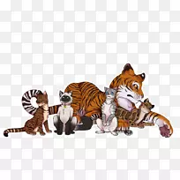 老虎大猫野生动物老虎-空若网 老虎大猫野生动物老虎-空若网