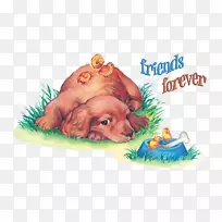 小狗爱狗鼻子-小狗-空若网 小狗爱狗鼻子-小狗-空若网