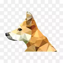 ���ζ���εͶ����������-������