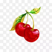樱桃红下载-樱桃-空若网 樱桃红下载-樱桃-空若网