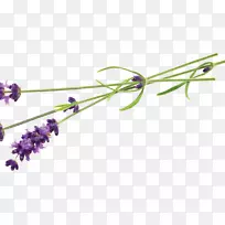 Ó¢¹úÞ¹Ò²ÝÏãË®¿ÉÒÔ´¢´æÍ¼Æ¬-Þ¹Ò²ݱ߽硣-¿ÕÈôÍø Ó¢¹úÞ¹Ò²ÝÏãË®¿ÉÒÔ´¢´æÍ¼Æ¬-Þ¹Ò²ݱ߽硣-¿ÕÈôÍø