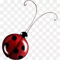 昆虫七点瓢虫动物剪贴画昆虫-空若网 昆虫七点瓢虫动物剪贴画昆虫-空若网