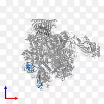 人体珠宝线树字体-高蛋白饮食-空若网 人体珠宝线树字体-高蛋白饮食-空若网