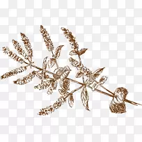 婚礼策划人博客结婚新娘-草-空若网 婚礼策划人博客结婚新娘-草-空若网