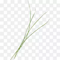 �ȸ�ͼƬ-�������̲�-������