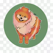 波美拉尼亚猫鼻子卡通猫-空若网 波美拉尼亚猫鼻子卡通猫-空若网