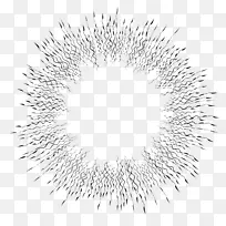 ��Ӱ��֧����-����ЧӦ-������