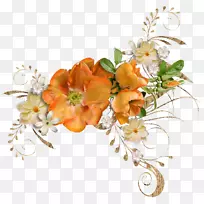 剪贴画.大小Ara-空若网 剪贴画.大小Ara-空若网