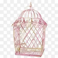 鸟笼剪贴画-鸟-空若网 鸟笼剪贴画-鸟-空若网