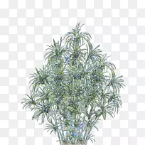 ��ľ-��Ҷ-������