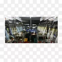 ��Ȼ�����׳�����-������