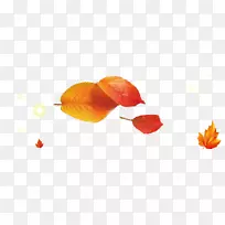 花瓣生日电脑壁纸-空若网 花瓣生日电脑壁纸-空若网