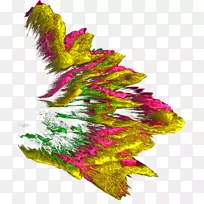 ��쿪��ֲ��Ҷ-������