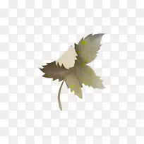 花瓣叶植物茎开花植物-叶-空若网 花瓣叶植物茎开花植物-叶-空若网