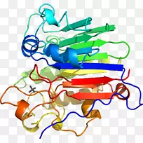 �ߵ������-��-������