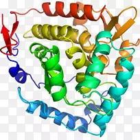 �����鱦�л��������.�鱦-������