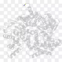 白色字体设计-空若网 白色字体设计-空若网