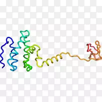 ������Ϊ�л����ߵ��������-������