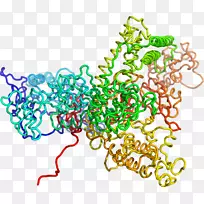 ���߼�����-��-������