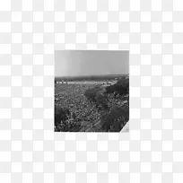 ������m-��-������