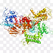 �л��������-������