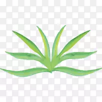 ����ˮ�ʣ�����ˮ�ʻ�ֲ��ˮ�ʻ�-������