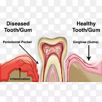 ���ܲ��������ܲ�����ѧ���ܲ�-������