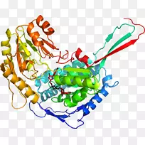 �ߵ������������-������