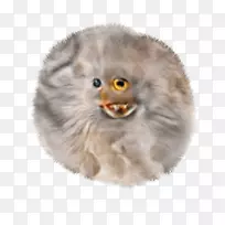 ����èë����è-������