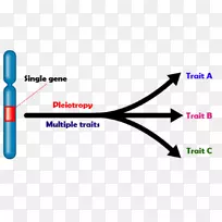 �����Ŵ�ѧ��������ѧ-������